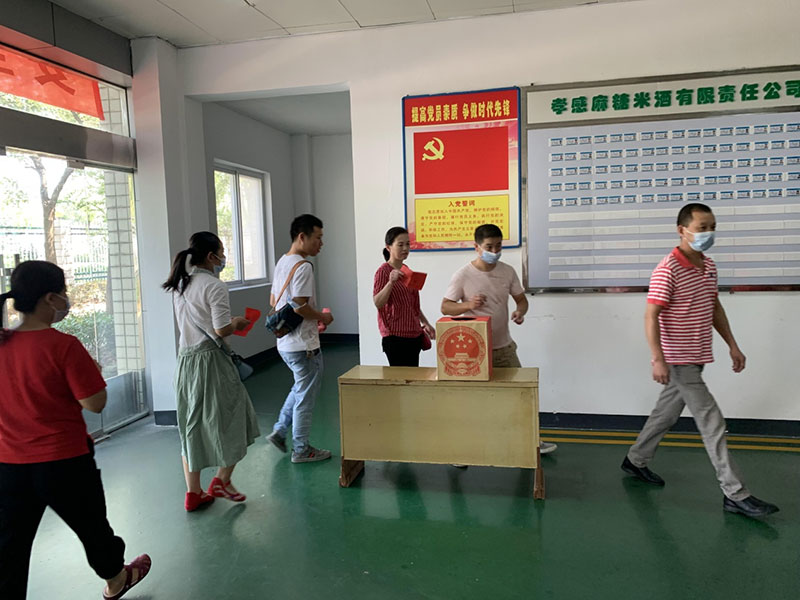 圆满完成孝南区第七届人大代表选举工作